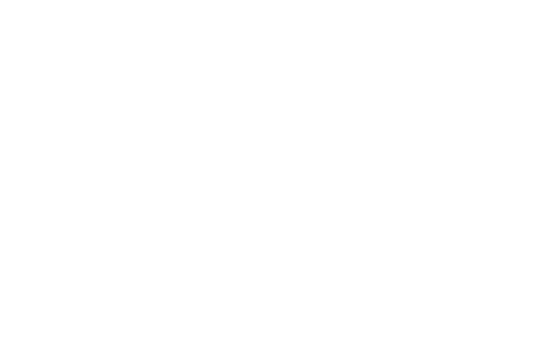 Logo Team Blanc