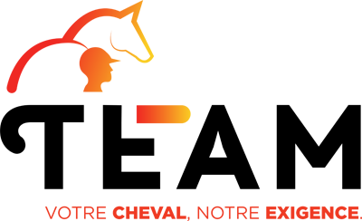 Logo Team Aliment cheval