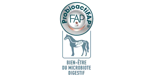 Probioactif FAP aliment chevaux TEAM